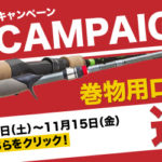 あと一週間で終了です！