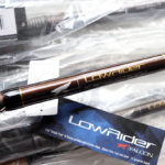 今月「2回目」の入荷です！