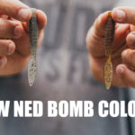 ミサイル ベイツ「ネッド ボム / Ned Bomb」、新色入荷！