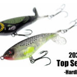 2022年 売り上げランキング TOP 3 -ハードベイト編-