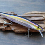 ラパラ「PXR マーベリック 110 / PXR Mavrik 110」再入荷です！