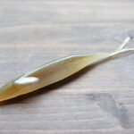 ズーム「ウイングド フルーク / Winged Fluke」再入荷！