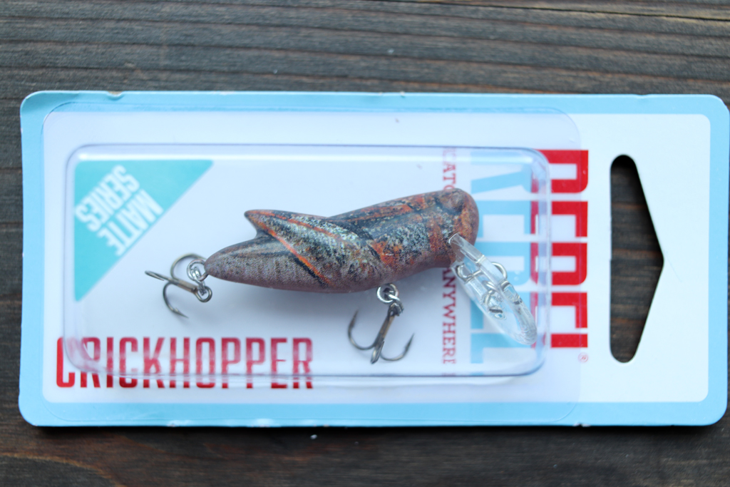 【Matte Rusty Brown】