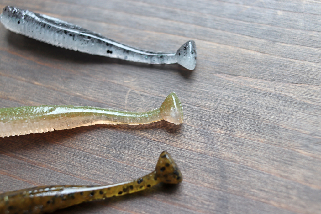 小さな「くさび形」のテールが特徴。