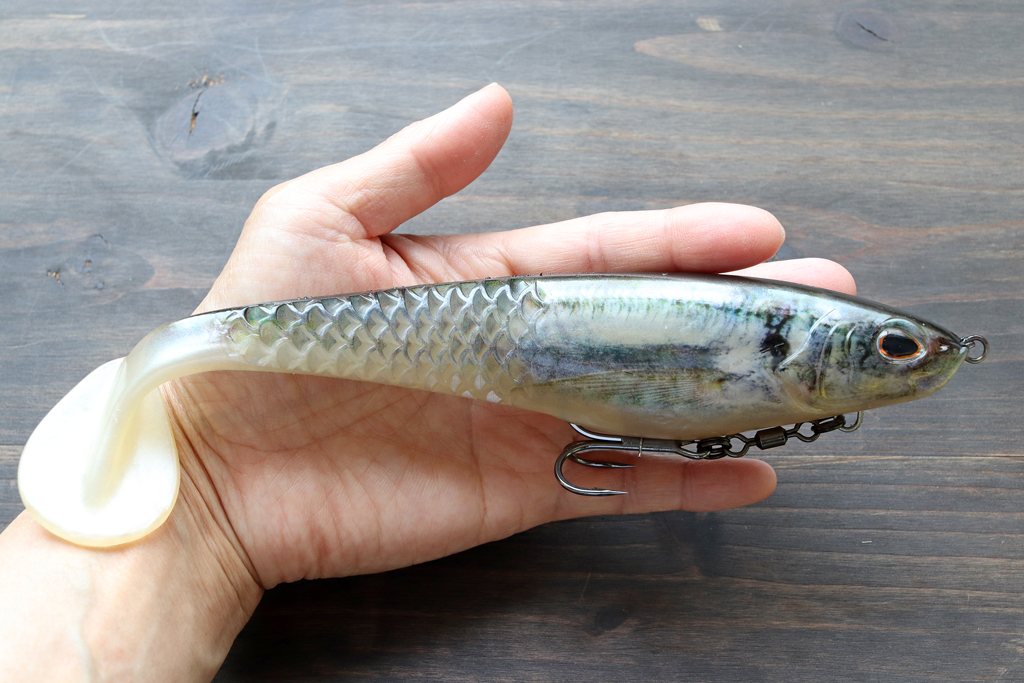 新たに一回り大きな「8インチ」モデルが入荷。