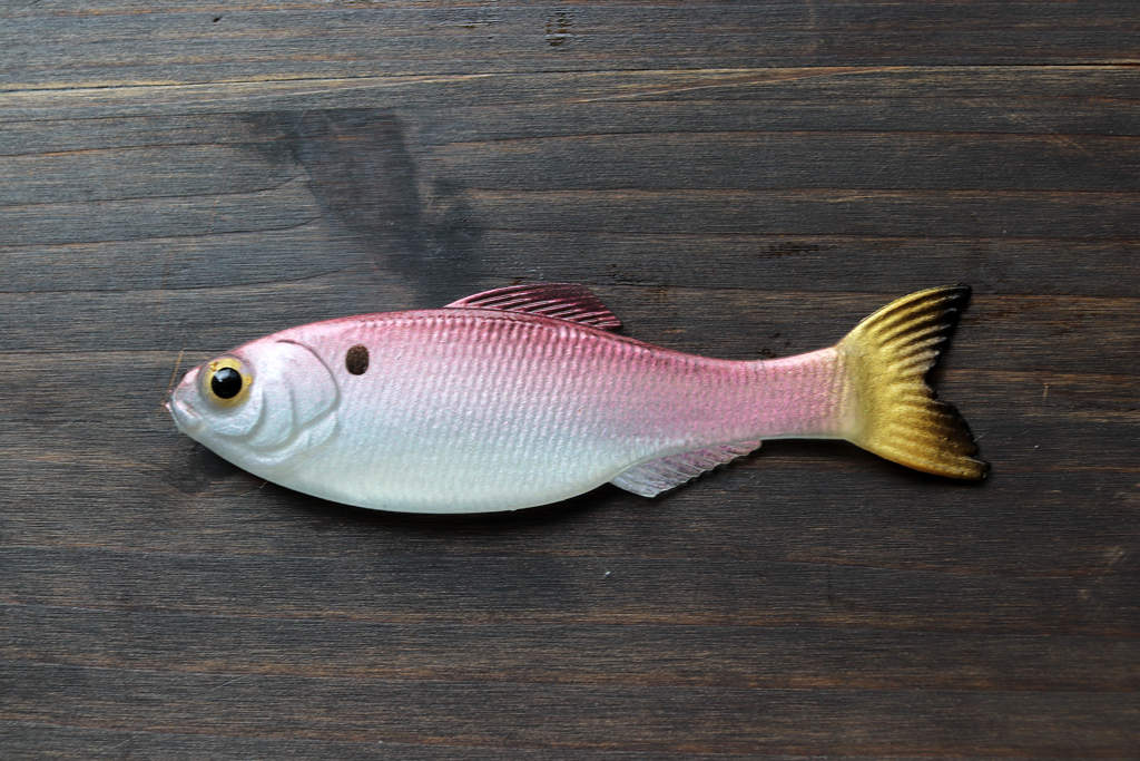 サイズ3.5インチ、リアルなシャッド型ソフトベイト。