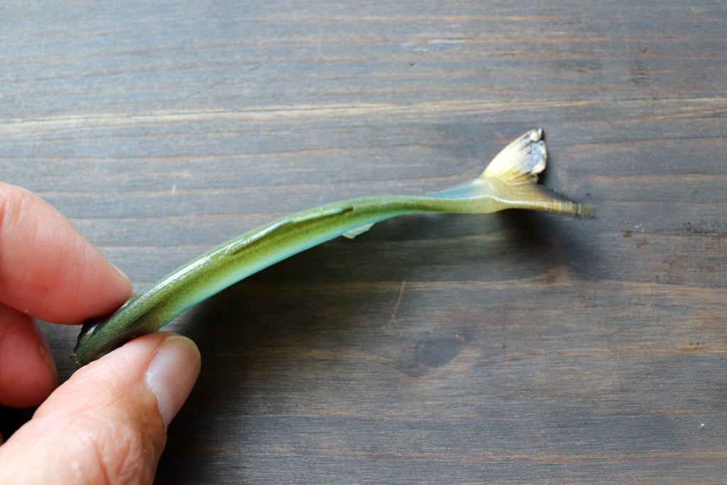 独自の薄型ボディはパーフェクトなプラスチック粘度でできており、非常にソフトで、水中で滑らかなアクションを生み出す。