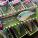 ラパラ「DT-20」再入荷！