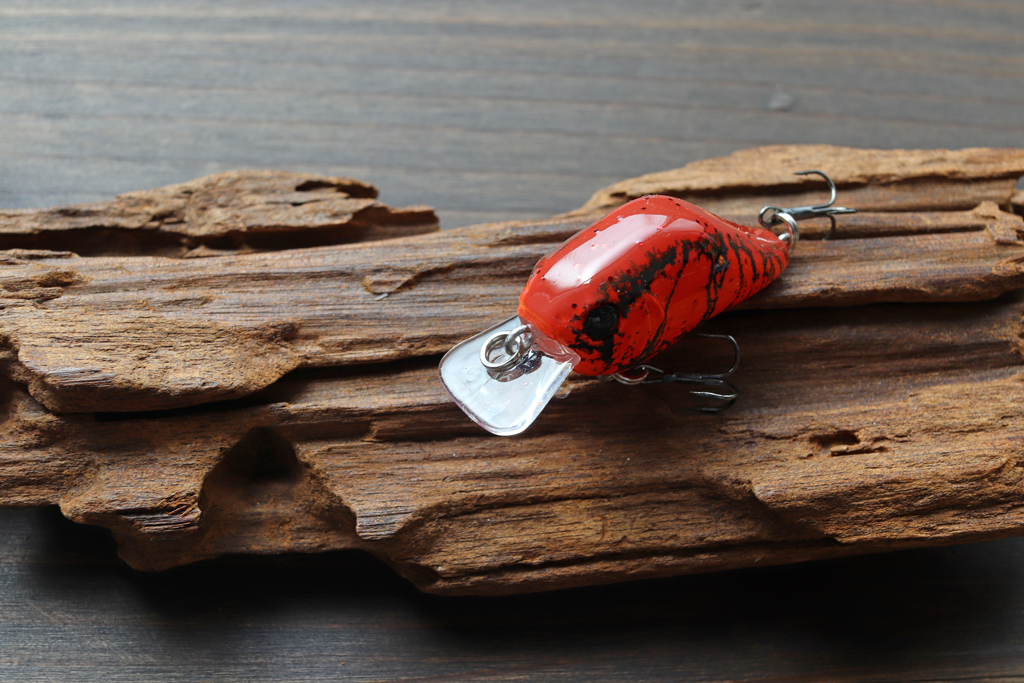 スクエアビルを持ちカバーの回避能力も◎。