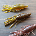 シックス センス「クルーブ / Crube」