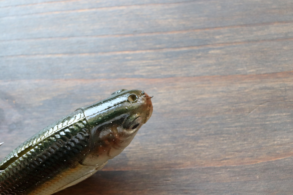 鼻先からラインを通し・・・、