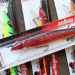 スミスウィック「サスペンディング スーパー ログ / Suspending Super Rogue」再入荷！