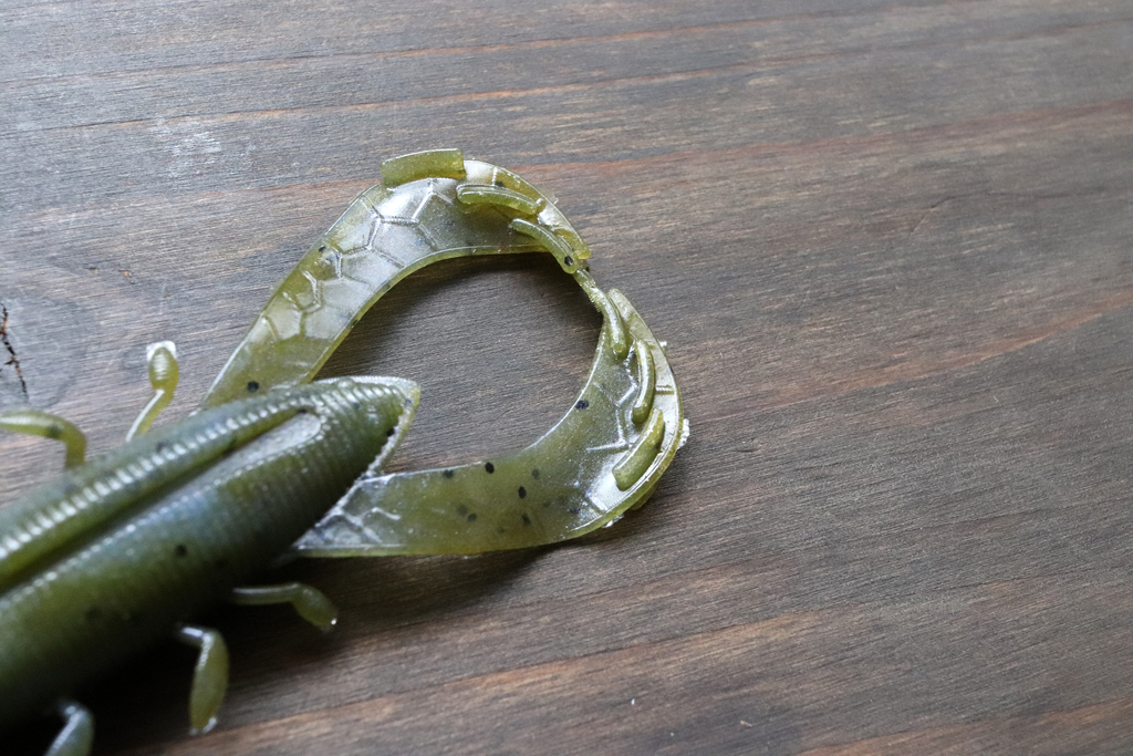 大きな爪には特徴的な水かきが付いており・・・、