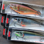 ラパラ「スーパー シャッド ラップ / Super Shad Rap」に新色登場！