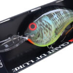 「Xmas プレゼント」にいかがでしょうか、ラパラ『ジャイアント ルアー -DT-』の『新色』が入荷！