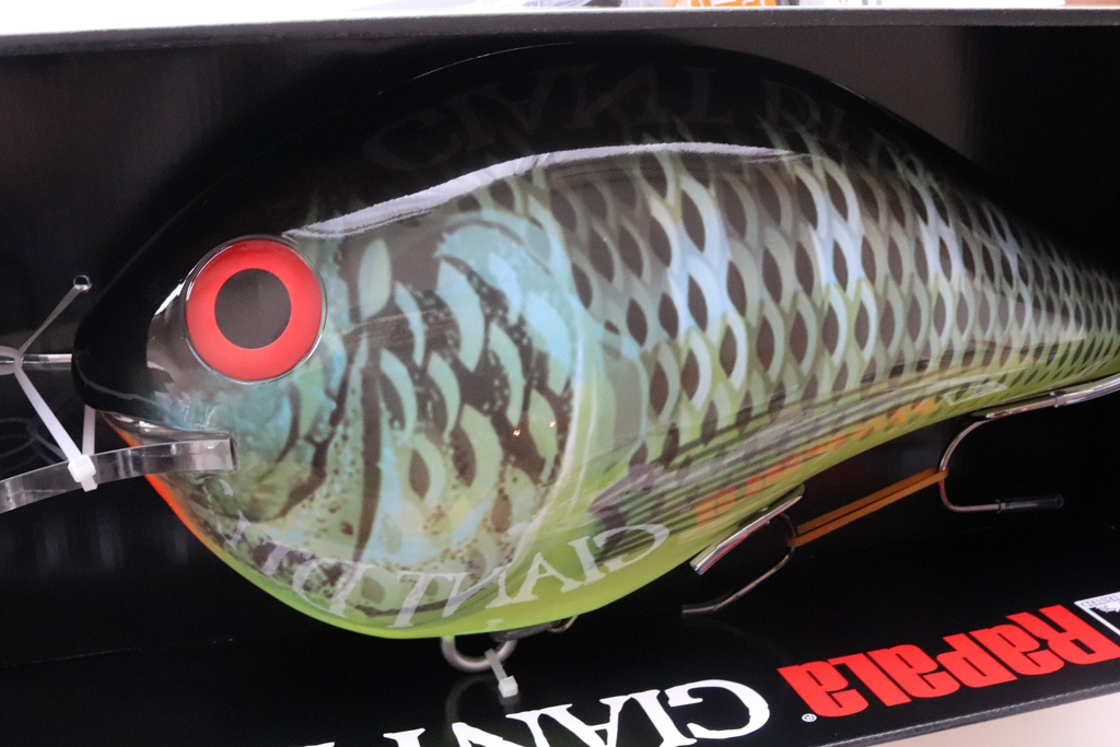 新色となる「ティラピア」カラーが入荷。