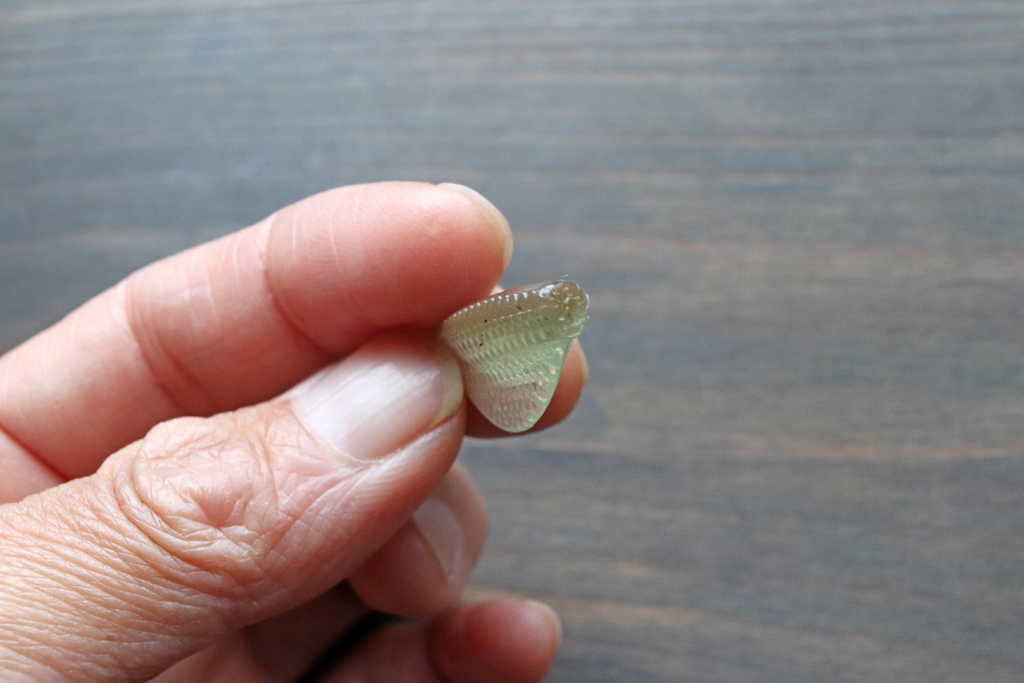 ベリーはフッキング率を高める為に極薄。