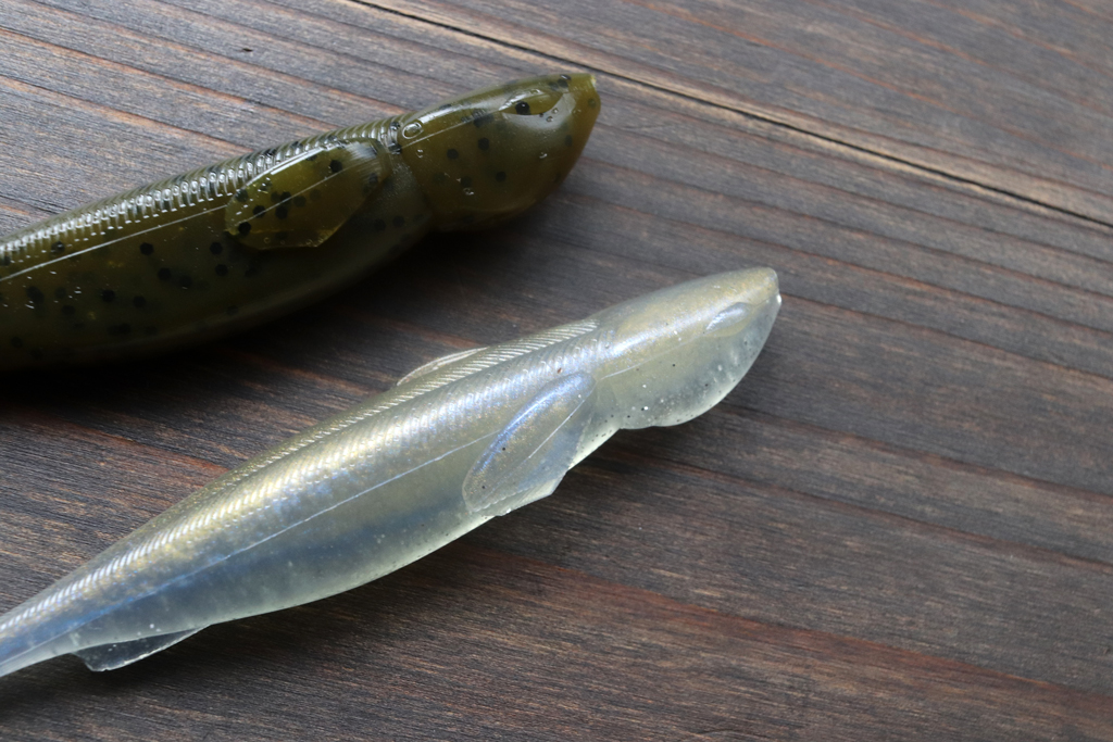 ボディ両サイドの大きな胸ヒレも特徴的。