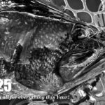 今年も一年有難うございました！