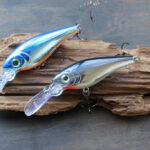 ラパラ「ハーベスト シャッド / Harvest Shad」