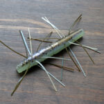 Z-Man「ファジー TRD / Fuzzy TRD」