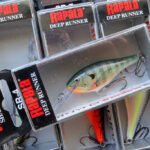 「コールド ウォーター クランキング」といえばコレ、ラパラ『シャッド ラップ / Shad Rap』！