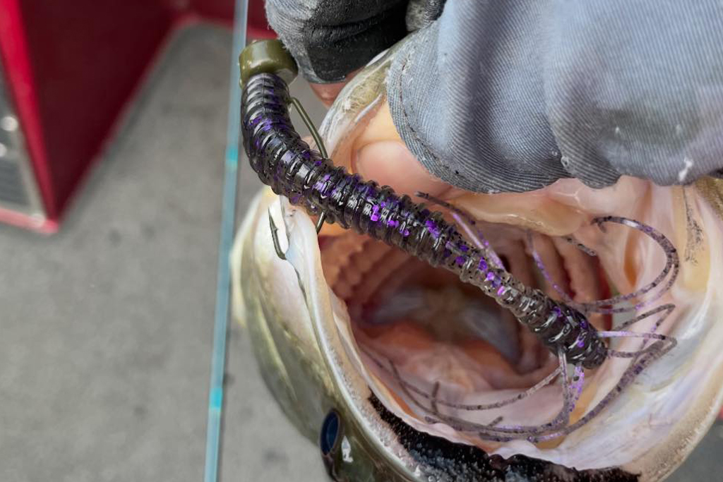 3.5インチ サイズ、ネッド リグ、ドロップショット、フットボール ヘッドなどのリグに最適です。