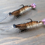 リアルなエビ型ソフトベイト、Z-Man「プローンスターZ / PrawnstarZ」のダウンサイズ「2.5インチ」と「3インチ」モデル入荷！