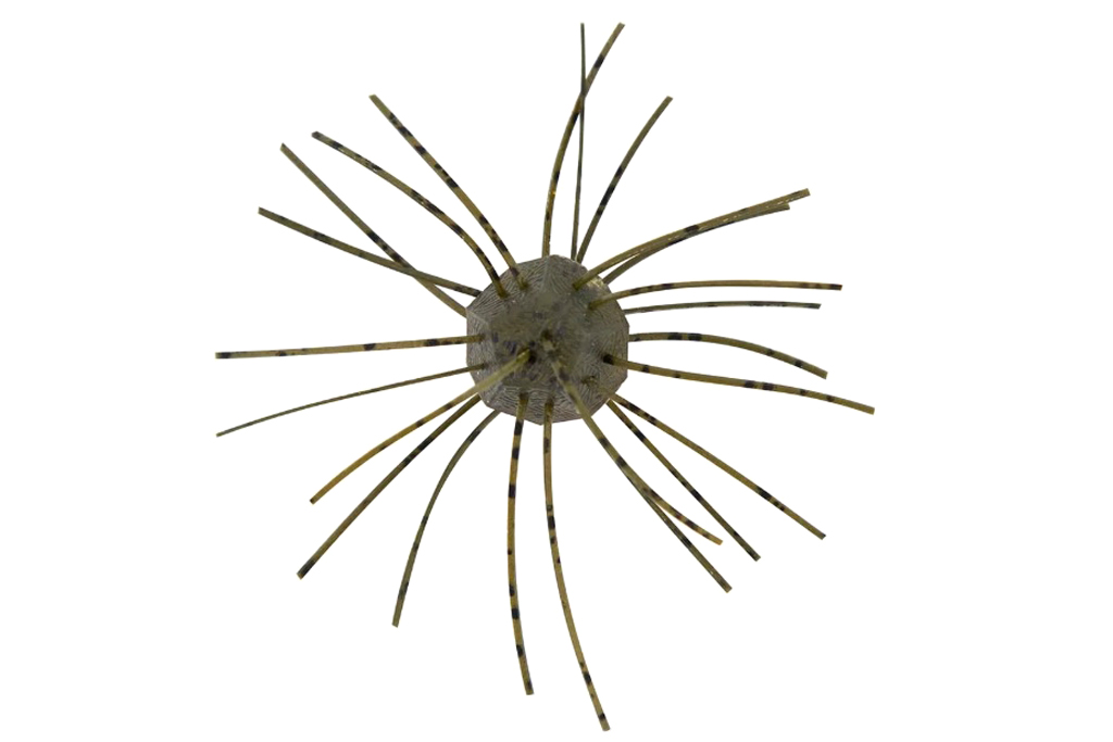 ザリガニや昆虫、プランクトンなどを模した一口サイズのフィネス ルアー。