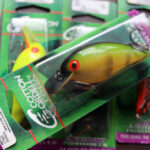 コットン コーデル「ビッグ オー / Big O」再入荷!