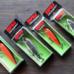 ラパラ「カウントダウン -魚卵カラー / CountDown -Limited color」