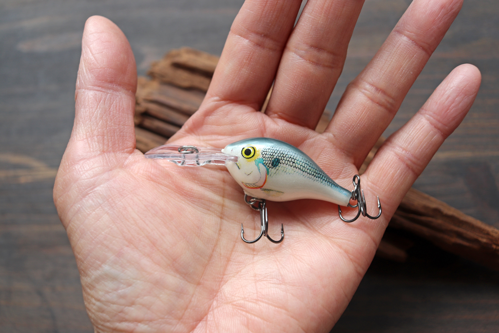 伝説のバルサ クランクが帰ってきた！