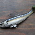 Z-Man「スワッグ LT / Swag LT」