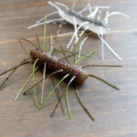 Z-Man「ファジー バグZ / Fuzzy BugZ」