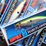 ラパラ「フラット ラップ / Flat Rap」、サイズ 10cmのモデル『FLR10』入荷!